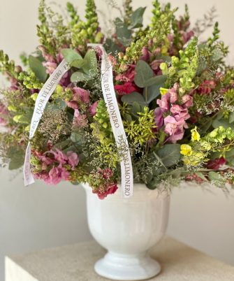 Arreglo Perritos