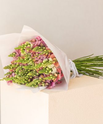 Bouquet + Perritos