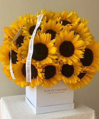 Caja girasoles